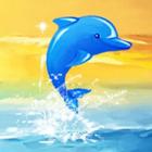 Dolphin for FancyKey Keyboard icon