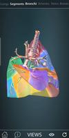 Surgical Anatomy of the Lung capture d'écran 2