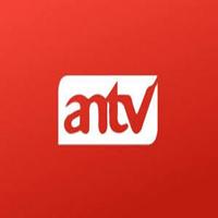 TV Online Indonesia HD imagem de tela 3