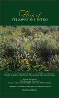 Flora of Yellowstone Intro 포스터