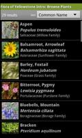 1 Schermata Flora of Yellowstone Intro