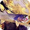 Montana Fishing Access APK