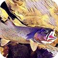 ”Montana Fishing Access