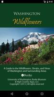 پوستر Washington Wildflowers