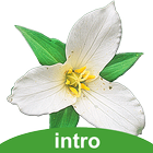 Washington Wildflowers Intro icon