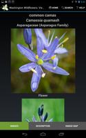 برنامه‌نما Washington Wildflowers Intro عکس از صفحه