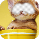 Animal Body Photo Maker APK