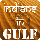Gulf Indians biểu tượng