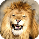 Lion Laugh APK