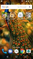 Peacock Live Wallpaper syot layar 2