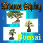 Advanced Styling Techniques of Bonsai アイコン