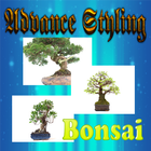 Advanced Styling Techniques of Bonsai icône
