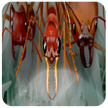 Free tips of empires of the undergrowth Game