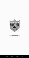 Empire State Sentinel постер