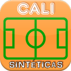 CANCHAS SINTÉTICAS DE CALI biểu tượng