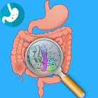 Como Curar La Gastritis icon