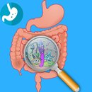 Como Curar La Gastritis - Remedios Caseros Gratis APK