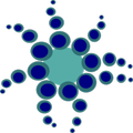 Pulpo V-SHMS