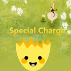 Special Charge-icoon