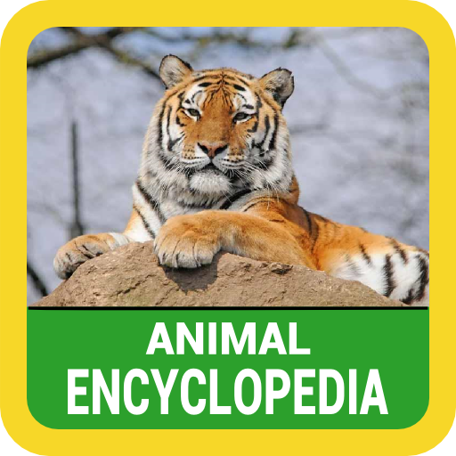 Animal Encyclopedia