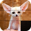 Slide Puzzle APK