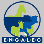 Engalec 아이콘