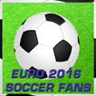 Euro 2016 Fan Photo Maker