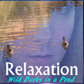 Relaxation - Ducks In A Pond