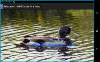 Relaxation - Ducks In A Pond capture d'écran 2