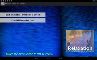 Relaxation - Ducks In A Pond capture d'écran 3