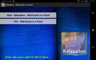 Relaxation - Ducks In A Pond Affiche