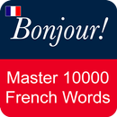 French Vocabulary Master APK