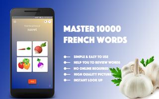 French Vocabulary Master Affiche