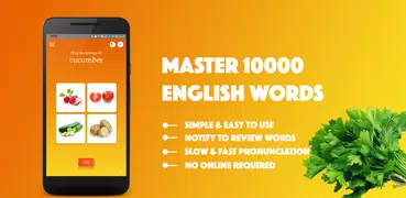 English Vocabulary Master