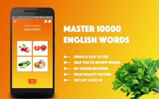 English Vocabulary Master Affiche