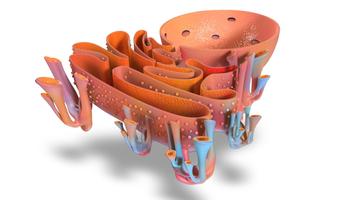 Endoplasmic Reticulum 3D पोस्टर