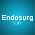 Endosurg 2017