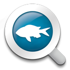 BiodiverSea - free version icon