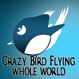 Crazy Bird Flying Whole World