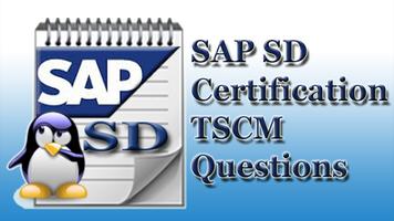 SAP SD TSCM Questions screenshot 3