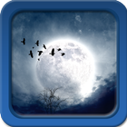 Moonlight Live Wallpapers آئیکن