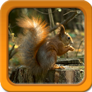 Animaux Live Wallpapers APK