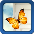 Butterflies Live Wallpapers APK