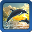 海豚动态壁纸 APK