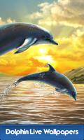 Dolphin Live Wallpapers โปสเตอร์