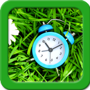Zegar kwiatowy Tapety na żywo aplikacja