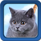 Kitten Live Wallpapers icon