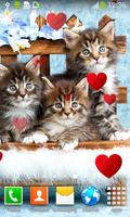 Kitten Live Wallpapers اسکرین شاٹ 1