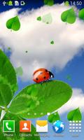 Ladybug Live Wallpapers 스크린샷 3