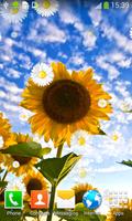 Sunflower Live Wallpapers اسکرین شاٹ 1